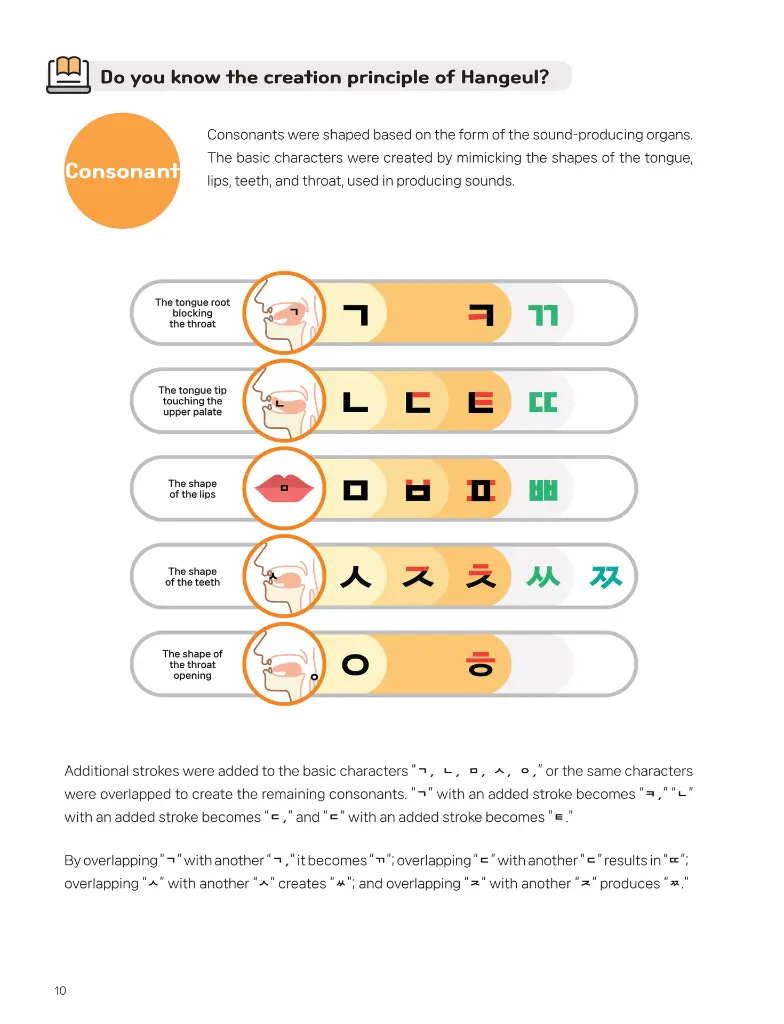 Basic_EN_PDF ver_10.webp